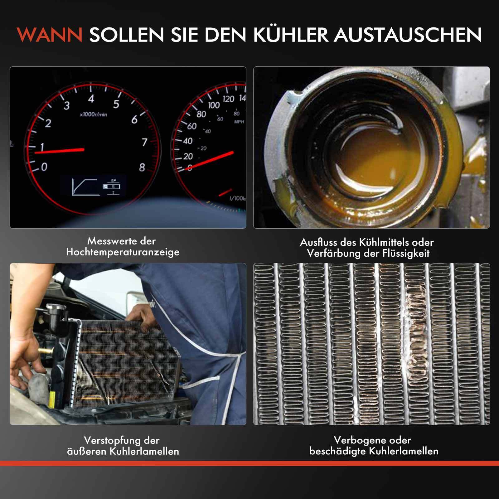 Bild 7 von 8
