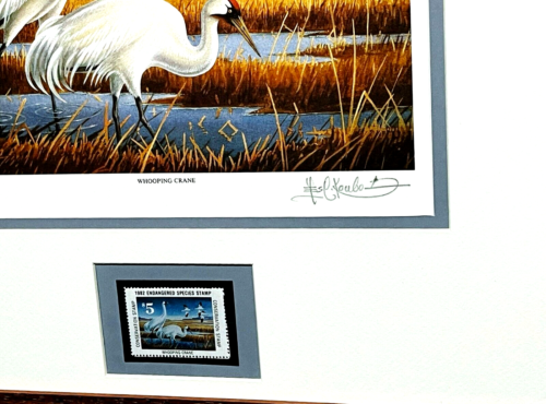 Stampa timbro Les Kouba 1982 National Endangered Species Society con timbro nuova cornice - Foto 3 di 5