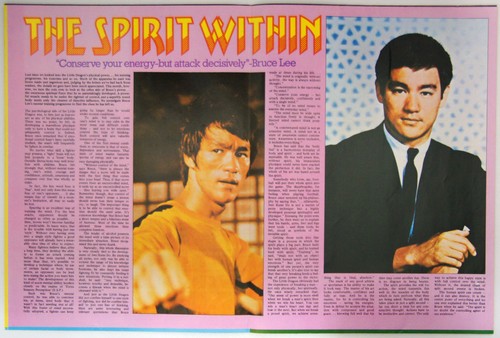 Kung-Fu Monthly Poster Magazine (Historic "Last Film" Edition!) Monthly No. 40 - Bild 6 von 7