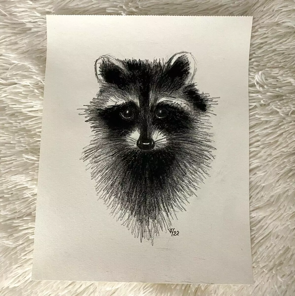 Original Drawing Raccoon Sketch Mixed Media Pencil Oil Pastel 11 x ...