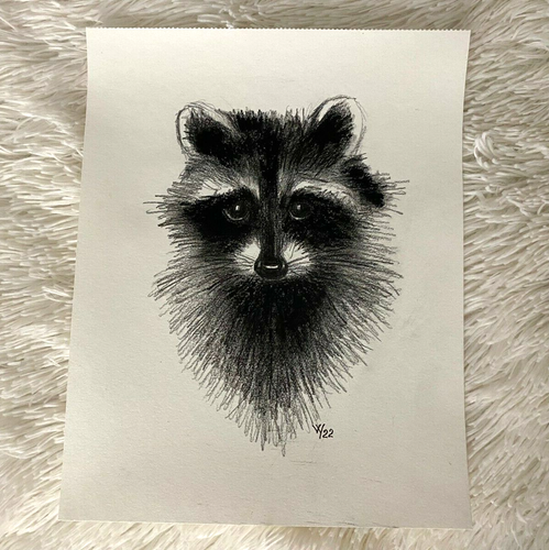 Original Drawing Raccoon Sketch Mixed Media Pencil Oil Pastel 11 x 9 Cute Animal | eBay Original Drawing Raccoon Sketch Mixed Media Pencil Oil Pastel 11 x 9 Cute Animal | eBay