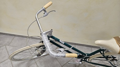 Alpina Bike L'EGO 1v 28 Zoll Damen Fahrrad Grün Erwachsene UVP: 399,90€ (R/2002) - Bild 8 von 22