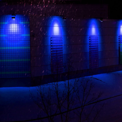 Blue Dusk to Dawn PAR38 LED Flood Light Bulbs with Auto On/Off Light Sensor for - Picture 7 of 12
