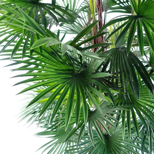 Fan Palm Artificial Tree 120cm - Picture 2 of 4