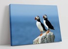 TWO ATLANTIC PUFFINS PHOTOGRAPHY -DEEP FRAMED CANVAS WALL ART PICTURE PRINT