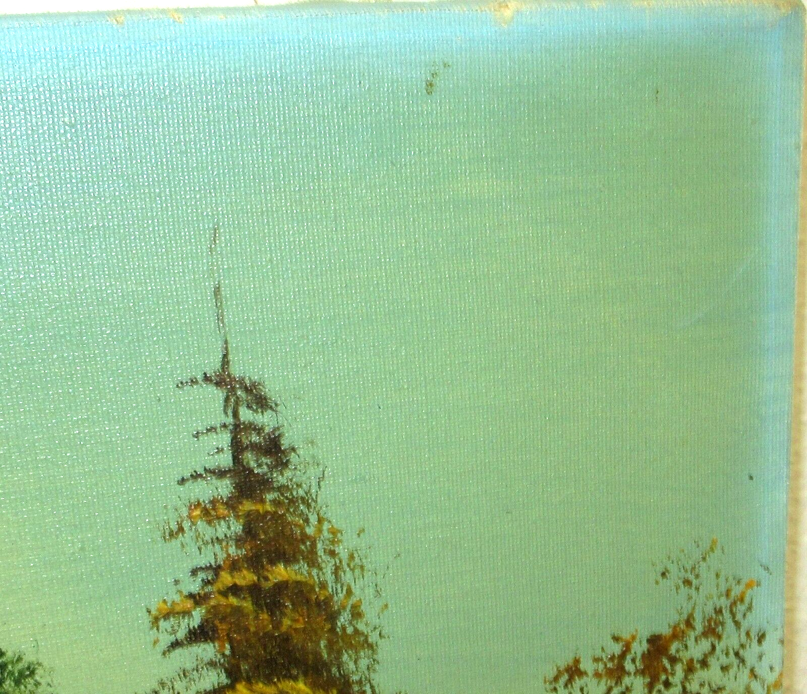 Picture 7 of 8