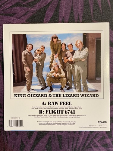 KING GIZZARD LIZARD WIZARD Gorge Raw Feel / b741 Record Fair 2024 Exclusive 45” - Picture 2 of 2