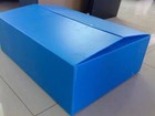 Foto 11 di 11