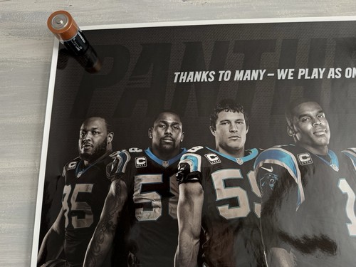 Carolina Panthers PSL Poster Druck (Größe: 24,5 x 18,5 Zoll) Top Zustand - Bild 3 von 7