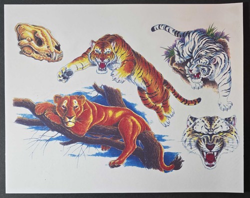 Vintage Paul Jeffries Tattoo Flash 10 Sheet Set, Shop Used With Lines Big Cats 2 - Picture 2 of 11