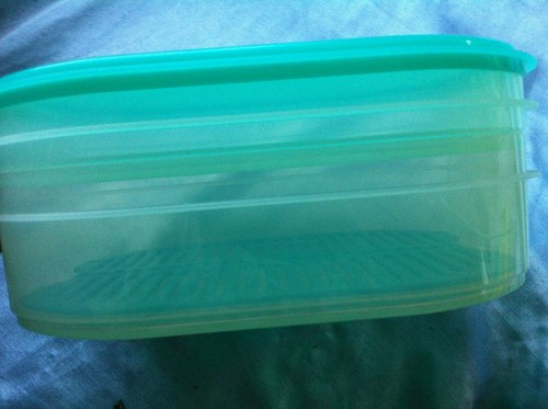 Tupperware Frischekabinett A20 700 1,6 grün Condens control kühlbox cool n fresh