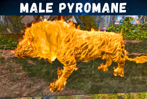Neu Pyromane HP13k Nahkampf 1325 ID245 Gold Arche Survival Ascended PVE PS5/XBOX/PC - Bild 4 von 6