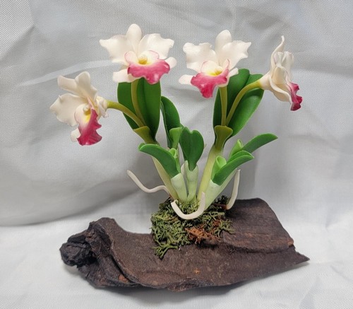Casa de muñecas artesanal vintage miniatura corteza de orquídea Cattleya escenificada hecha a mano - Imagen 5 de 19