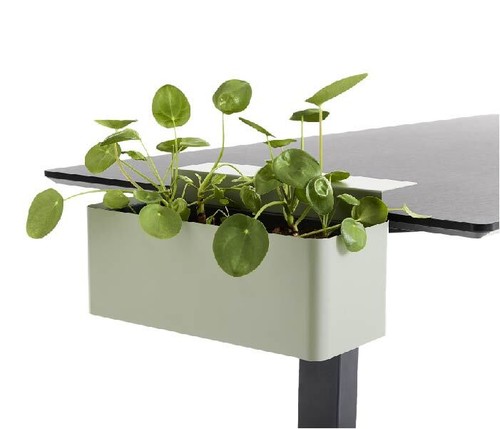 APTO Flowerbox / Blumenbox - Ihr Blumenkasten / Organizer für das moderne Büro - Bild 7 von 7