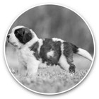 2 x Vinyl Stickers 30cm (bw) - Fluffy St Bernard Puppy Dog Pet  #43469