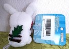 Bild 5 von 12