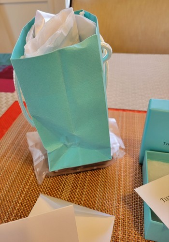 Authentic Tiffany & Co Gift Box, Flannel Pouch, Gift Card w/Env, Tissue & Bag - Picture 6 of 8
