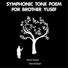 Bennie Maupin & Adam Rudo Symphonic Tone Poem for Brother Yu (Vinyl) (UK IMPORT)