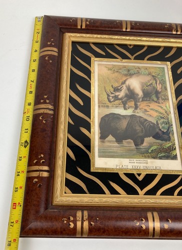 Antique pair of Prints of 1800's Hippopotamus & RHINOCEROS custom framed ,Nice - Picture 9 of 22