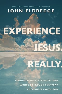 EXPERIENCE JESUS REALLY FINDING REFUGE S by ELDREDGE, JOHN Paperback Self Help