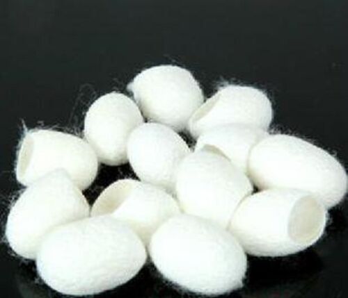 SILK WORM FACE CLEANING WHITENING , FACE CARE 100% NATURAL - FREE UK POST - Picture 3 of 3