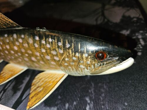 ! Carl/Vickie Christiansen "The Holy Grail" Bull Trout Fish Decoy Masterpiece ! - Picture 5 of 24