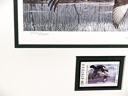 Stampa timbro David Maass 1984 Texas Waterfowl Duck con timbro - cornice nuova - Foto 6 di 7