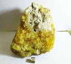 Bild 6 von 8