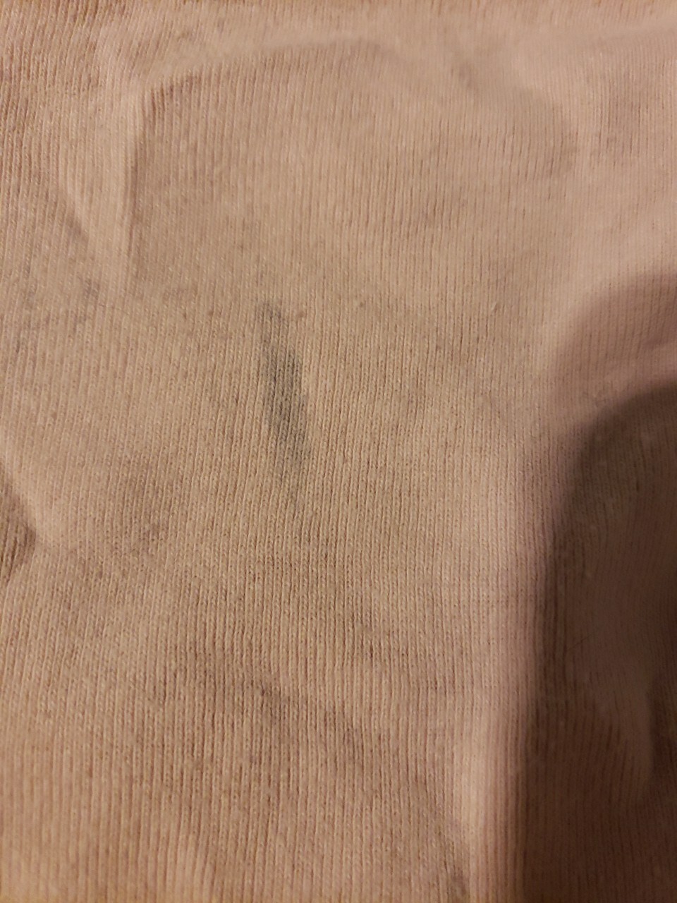 Picture 6 of 6