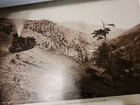 Picture 7 of 7