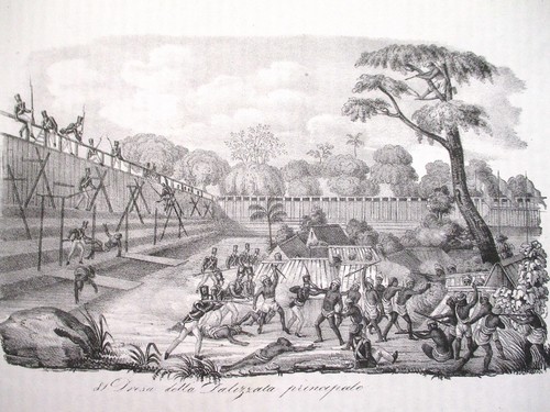 Viaggio Al Mondo Dumont d'Urville 1842 ~ Grabados ~ CALCUTTA India ~ SUMATRA etc. - Imagen 10 de 16