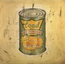 In Light Syrup by Toad The Wet Sprocket (Rock, Canada, Columbia) CD w inserts