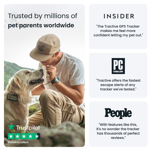 Tractive DOG XL Abenteuer | GPS Hundehalsband & Health Tracker | grau | Neu - Bild 11 von 11