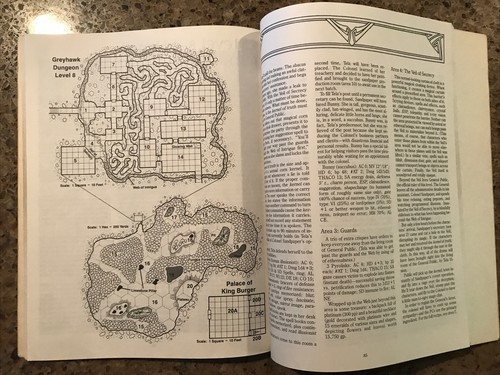 AD&D Advanced Dungeons & Dragons WG7 Castle Greyhawk 9222 - Bild 3 von 3