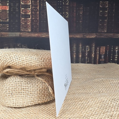 Stampa Magica Litjoy Classe Erbologia, Finitura Vellutata 5" x 5" Harry Potter, Pianta - Foto 5 di 8