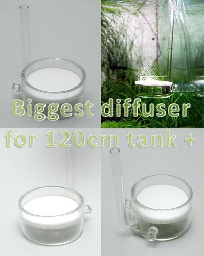 Pollen Glass CO2 diffuser japanese ADA style beetle planted aquarium 5cm big