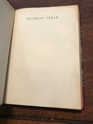 Djurens Varld: in Popularvetenskaplig - Ryggradslosa Djur - Bild 5 von 12