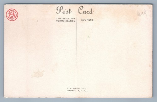 POSTAL ANTIGUA HALLOWEEN impresa en DANSVILLE NY PAR DE BÚHOS con LUNA CRECIENTE - Imagen 2 de 2