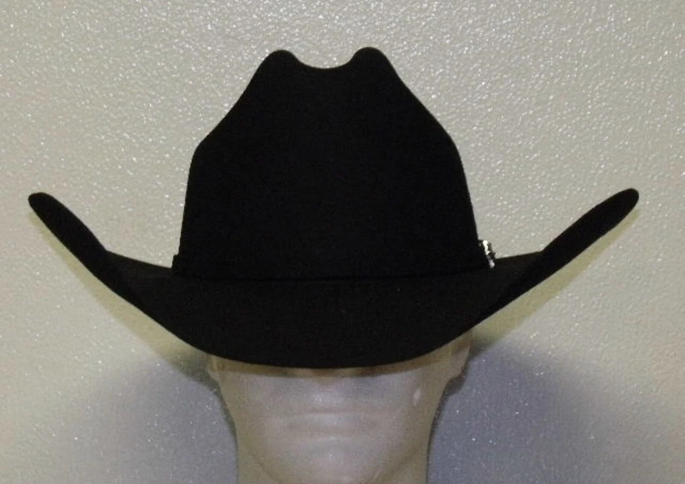 SOMBRERO VAQUERO WESTERN STETSON APACHE LANA BÚFALO Foto 2 de 4