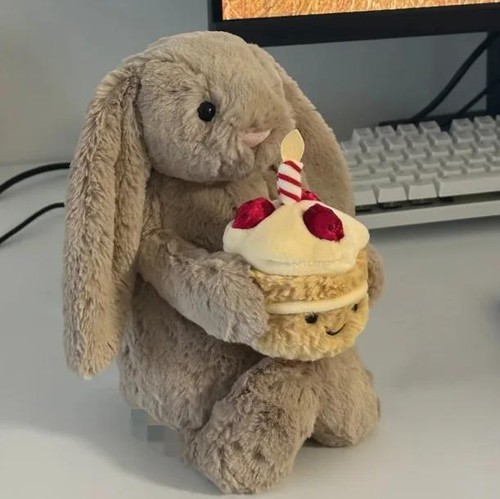 Original Jelly Cat 30cm Shy Bonnie Rabbit Holding a Birthday Cake Plush Doll Acc - Picture 9 of 24