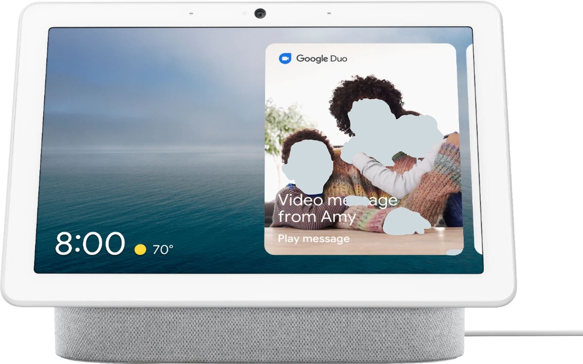 Google hub hotsell max nest