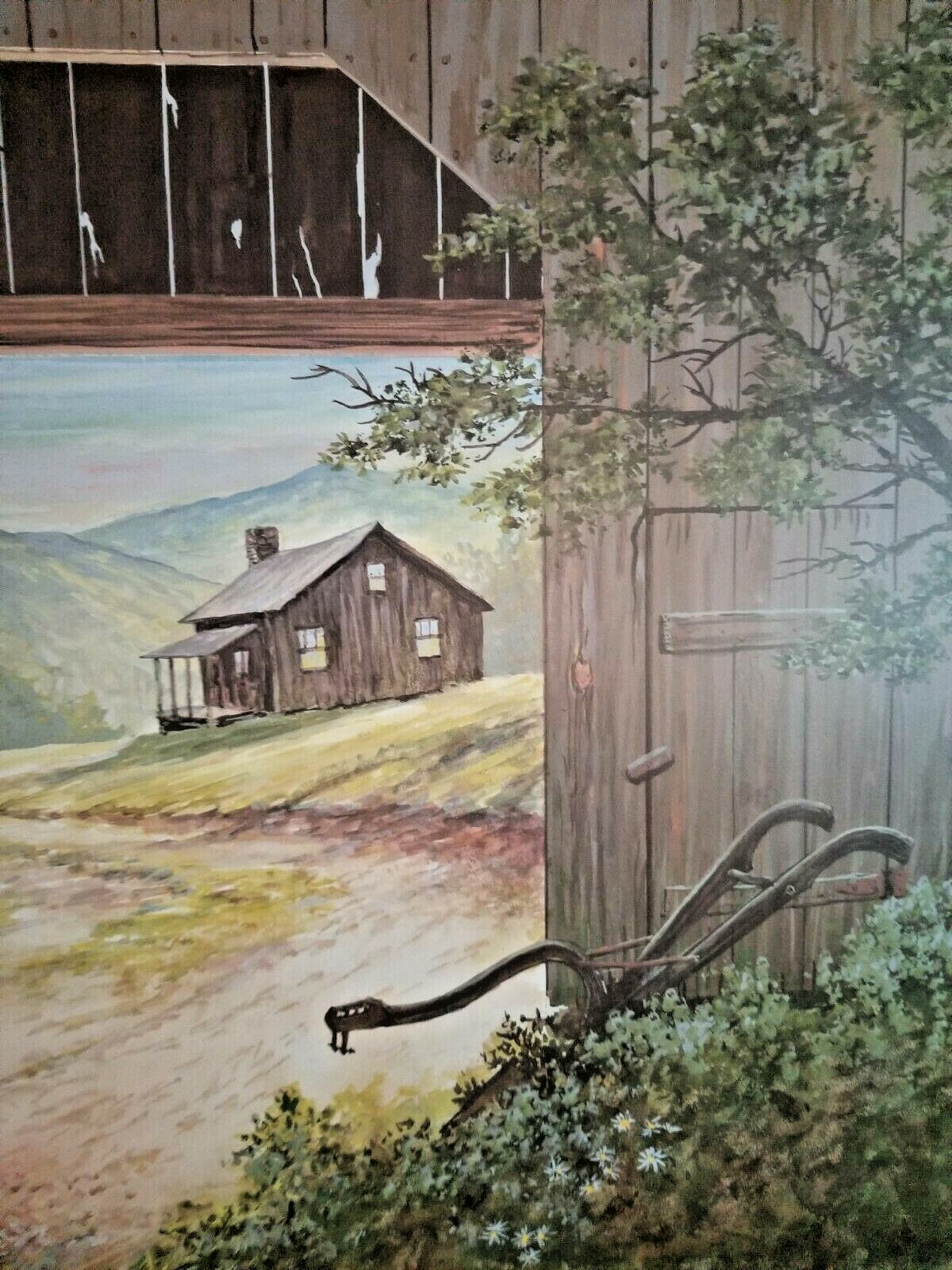 Picture 6 of 11