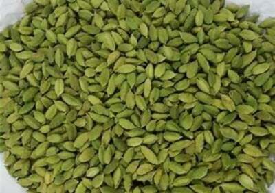 Organic Green Cardamom Pods (Choti Elaichi ) + free shipping