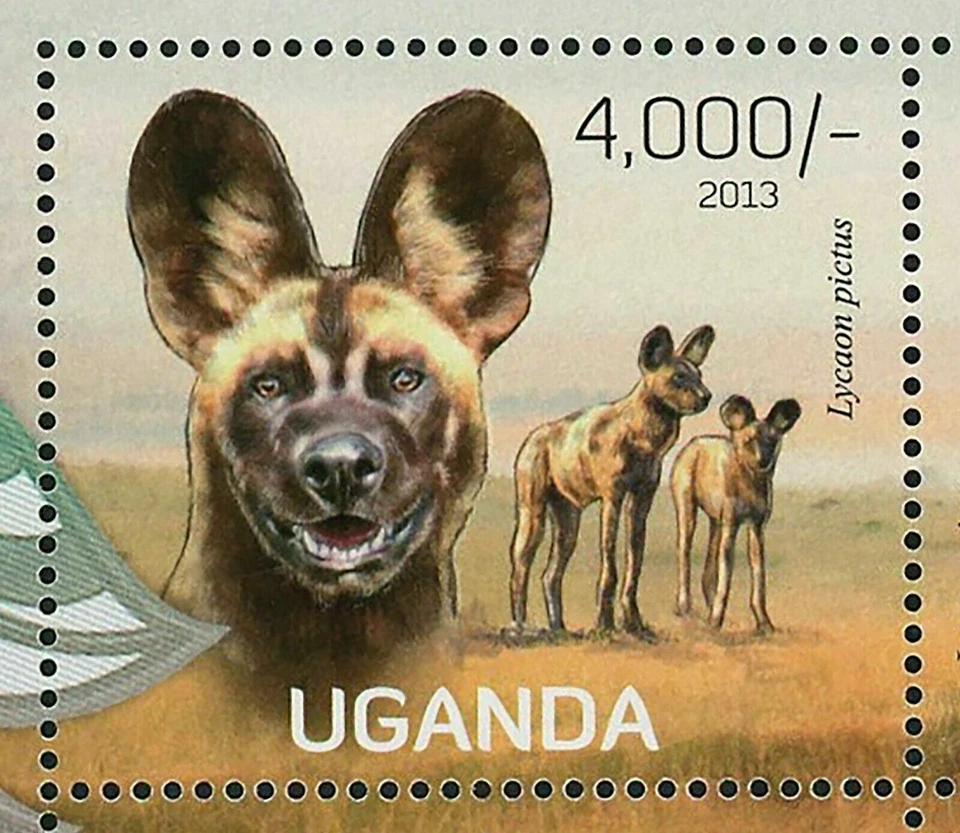 Folha de lembrança de animais selvagens selo de cachorros selvagens Lycaon Pictus MNH #3050-3053 - Imagem 3 de 4