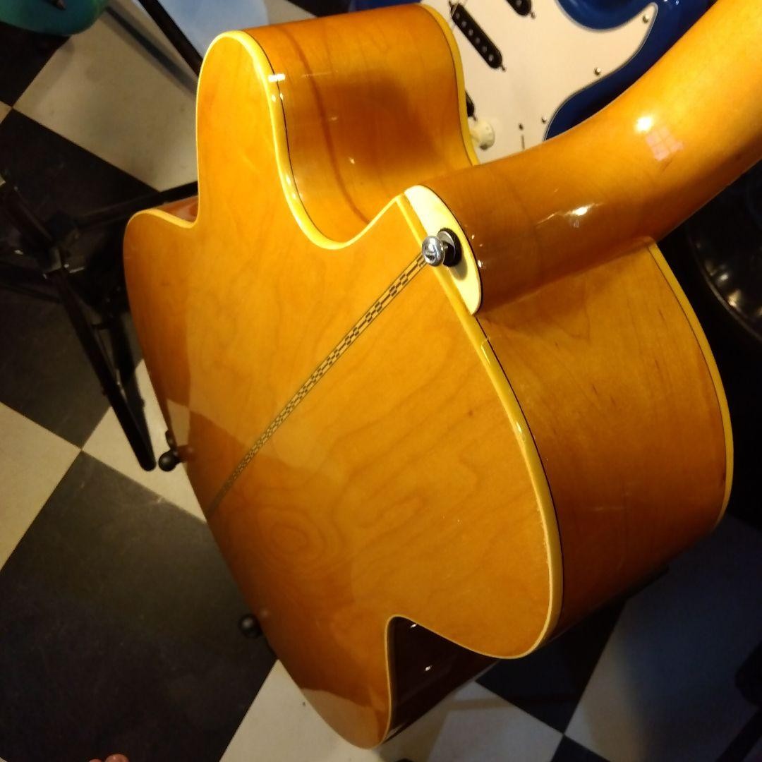 Epiphone Ej200CeEco Vintage UsaSemi-Hard Case | eBay