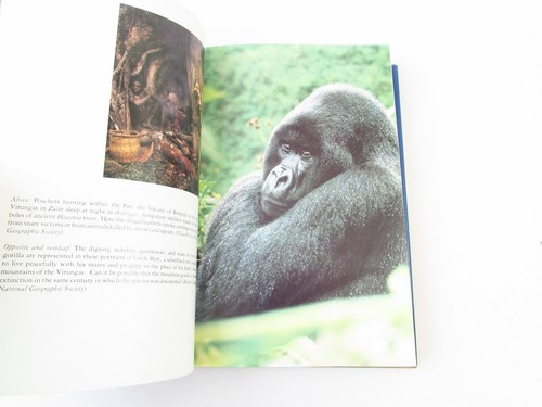 Gorillas in the Mist Dian Fossey 1983 HC/DJ 1st Edition 1st Printing - Picture 10 of 12