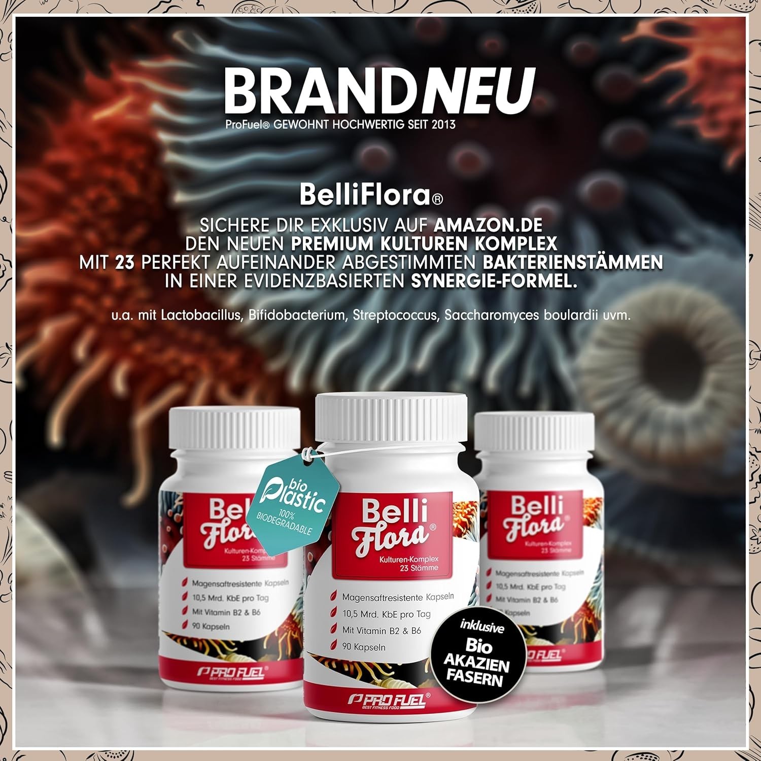 Bild 2 von 7