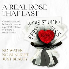 Eternal Rose flower Preserved rose everlasting rose flower gift with Led Light