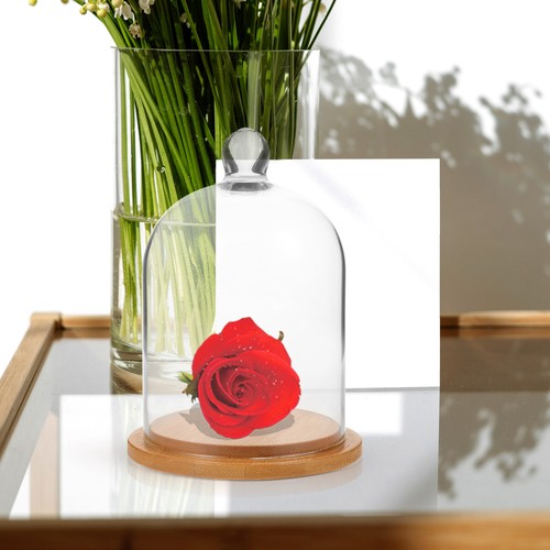 Cubierta con soporte de cúpula de vidrio para difusor de aroma de 2 unidades - Imagen 5 de 12