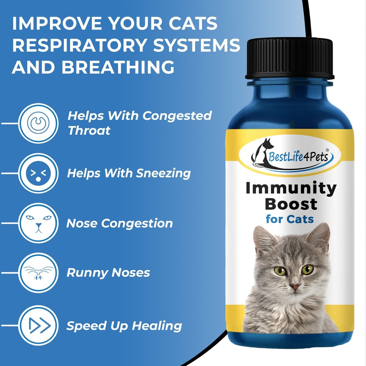 Cat immune system booster hotsell